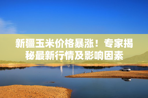 新疆玉米价格暴涨！专家揭秘最新行情及影响因素