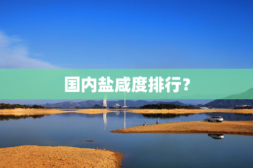 国内盐咸度排行？