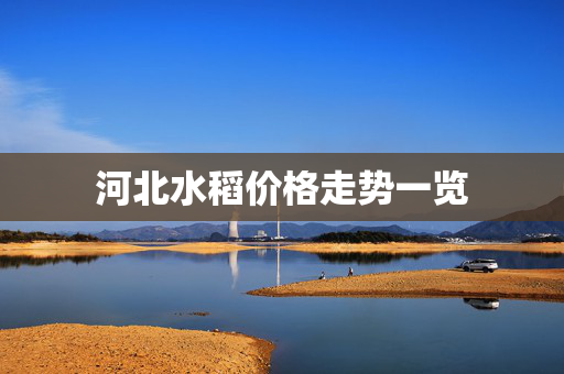 河北水稻价格走势一览