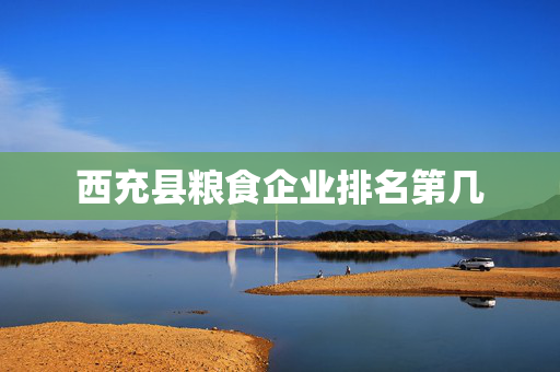 西充县粮食企业排名第几