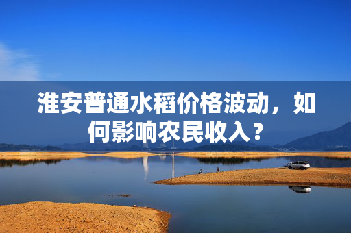 淮安普通水稻价格波动，如何影响农民收入？