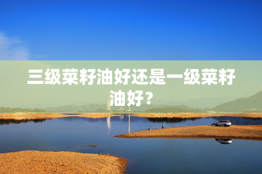 三级菜籽油好还是一级菜籽油好？