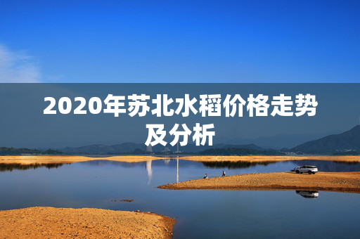 2020年苏北水稻价格走势及分析