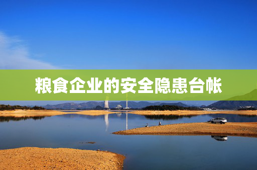 粮食企业的安全隐患台帐