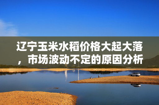 辽宁玉米水稻价格大起大落，市场波动不定的原因分析