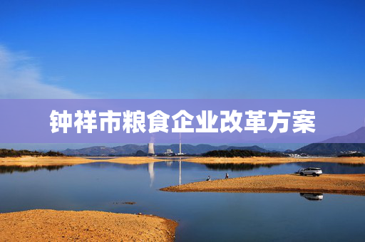 钟祥市粮食企业改革方案