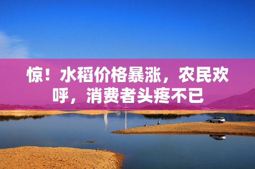 惊！水稻价格暴涨，农民欢呼，消费者头疼不已