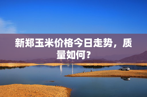 新郑玉米价格今日走势，质量如何？
