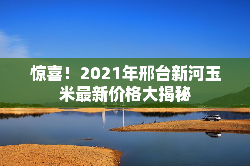 惊喜！2021年邢台新河玉米最新价格大揭秘