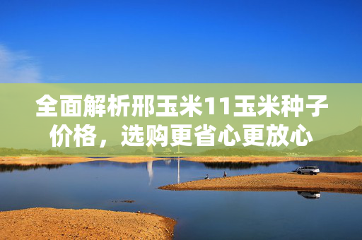 全面解析邢玉米11玉米种子价格，选购更省心更放心