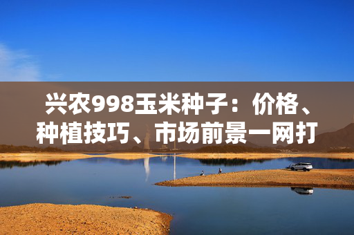 兴农998玉米种子：价格、种植技巧、市场前景一网打尽