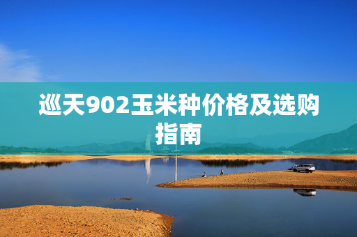 巡天902玉米种价格及选购指南