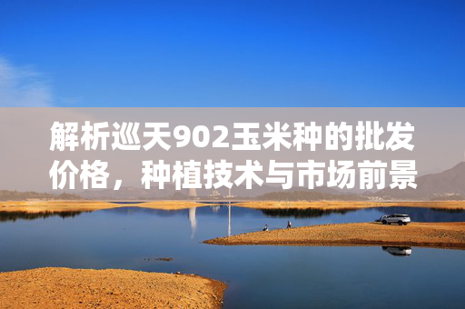 解析巡天902玉米种的批发价格，种植技术与市场前景