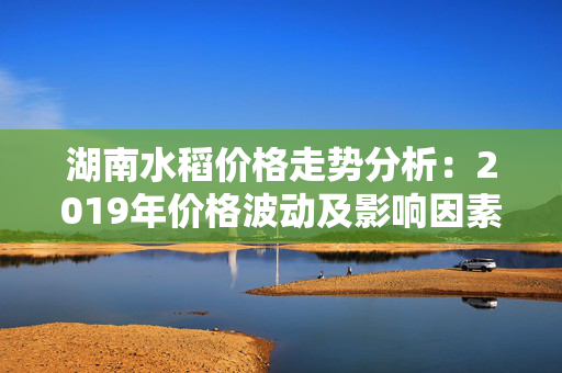 湖南水稻价格走势分析：2019年价格波动及影响因素解析