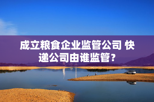 成立粮食企业监管公司 快递公司由谁监管？