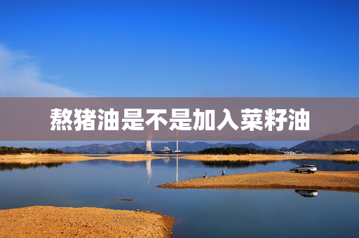 熬猪油是不是加入菜籽油