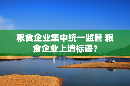 粮食企业集中统一监管 粮食企业上墙标语？