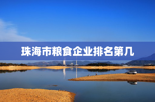 珠海市粮食企业排名第几