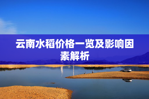 云南水稻价格一览及影响因素解析