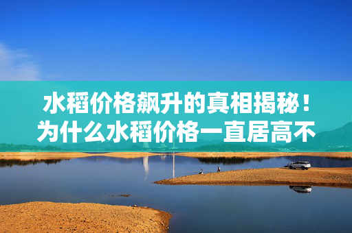 水稻价格飙升的真相揭秘！为什么水稻价格一直居高不下？