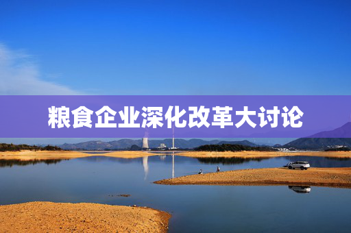 粮食企业深化改革大讨论