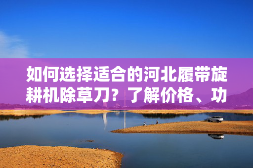 如何选择适合的河北履带旋耕机除草刀？了解价格、功能和品质