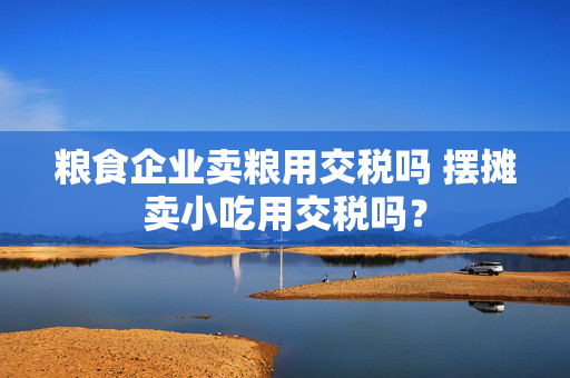 粮食企业卖粮用交税吗 摆摊卖小吃用交税吗？