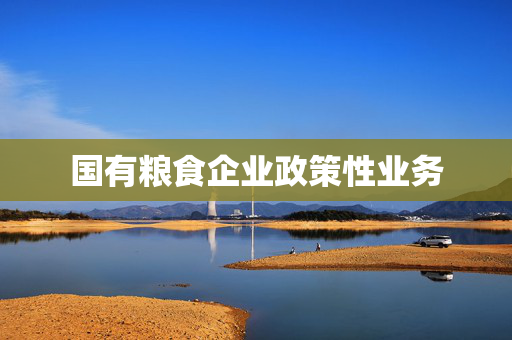 国有粮食企业政策性业务