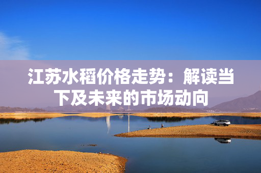 江苏水稻价格走势：解读当下及未来的市场动向
