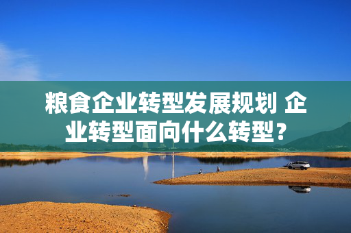 粮食企业转型发展规划 企业转型面向什么转型？