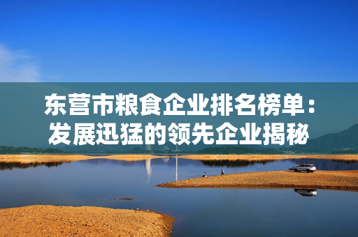 东营市粮食企业排名榜单：发展迅猛的领先企业揭秘