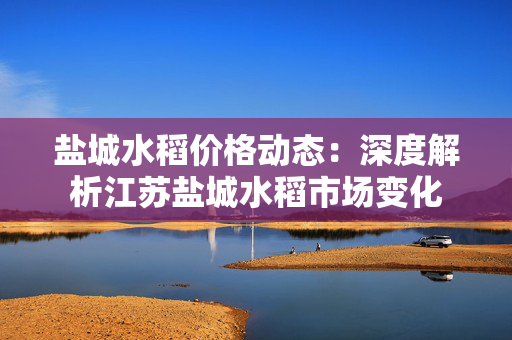 盐城水稻价格动态：深度解析江苏盐城水稻市场变化