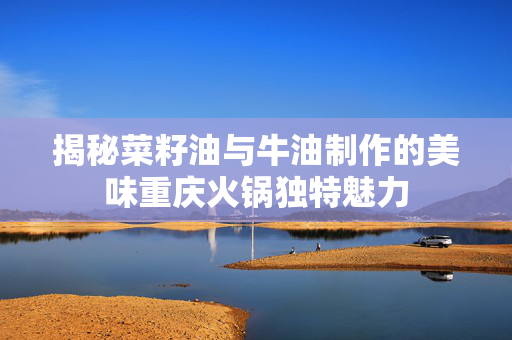 揭秘菜籽油与牛油制作的美味重庆火锅独特魅力