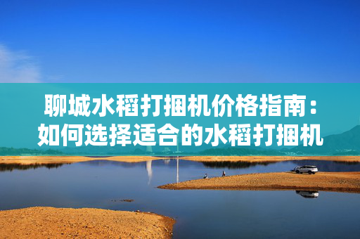 聊城水稻打捆机价格指南：如何选择适合的水稻打捆机