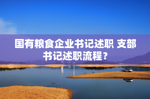 国有粮食企业书记述职 支部书记述职流程？