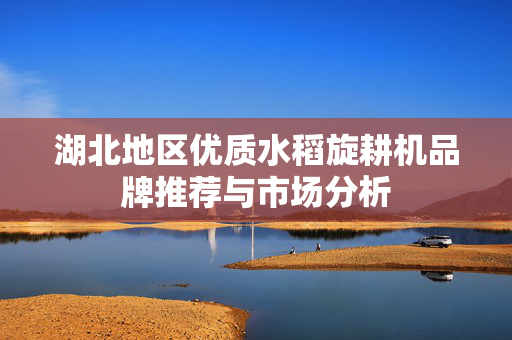 湖北地区优质水稻旋耕机品牌推荐与市场分析