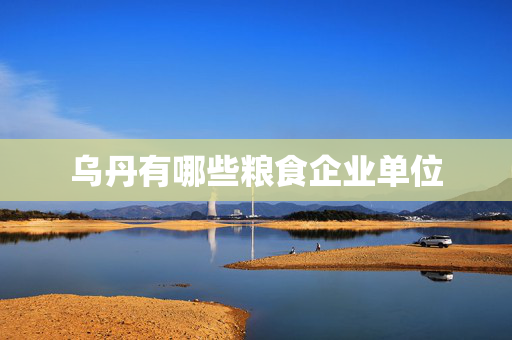 乌丹有哪些粮食企业单位