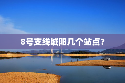8号支线城阳几个站点？