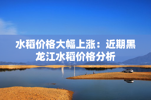 水稻价格大幅上涨：近期黑龙江水稻价格分析