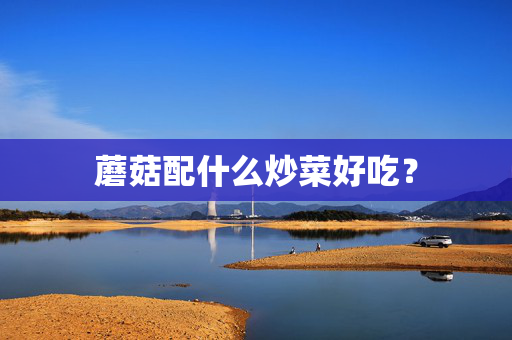蘑菇配什么炒菜好吃？