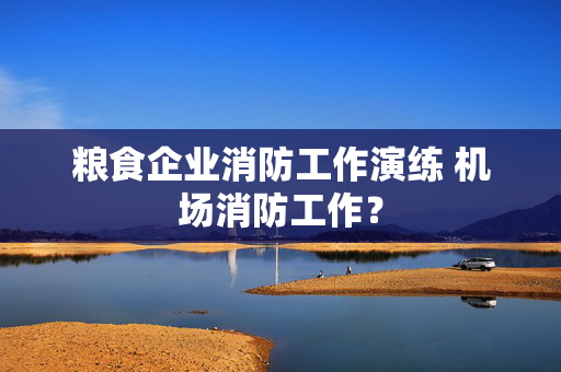 粮食企业消防工作演练 机场消防工作？