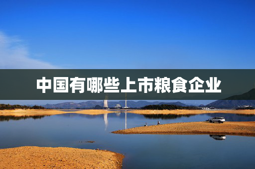 中国有哪些上市粮食企业