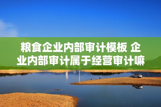 粮食企业内部审计模板 企业内部审计属于经营审计嘛？