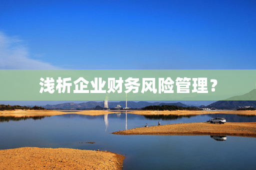 浅析企业财务风险管理？