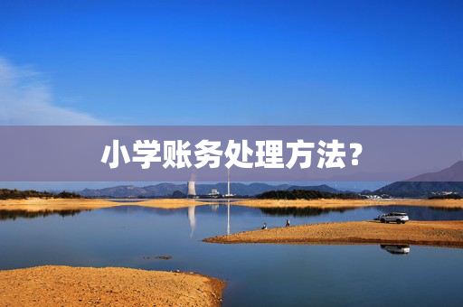 小学账务处理方法？
