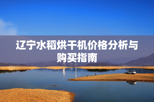 辽宁水稻烘干机价格分析与购买指南