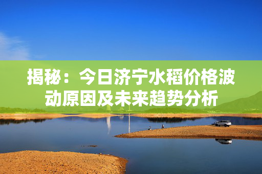 揭秘：今日济宁水稻价格波动原因及未来趋势分析