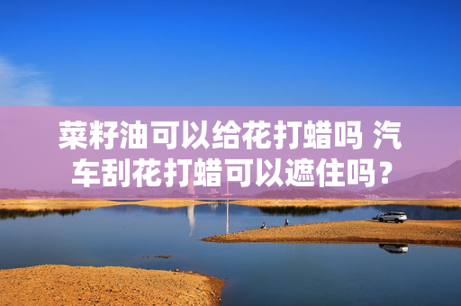 菜籽油可以给花打蜡吗 汽车刮花打蜡可以遮住吗？