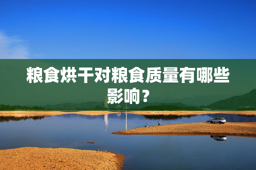 粮食烘干对粮食质量有哪些影响？