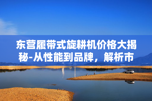 东营履带式旋耕机价格大揭秘-从性能到品牌，解析市场价位